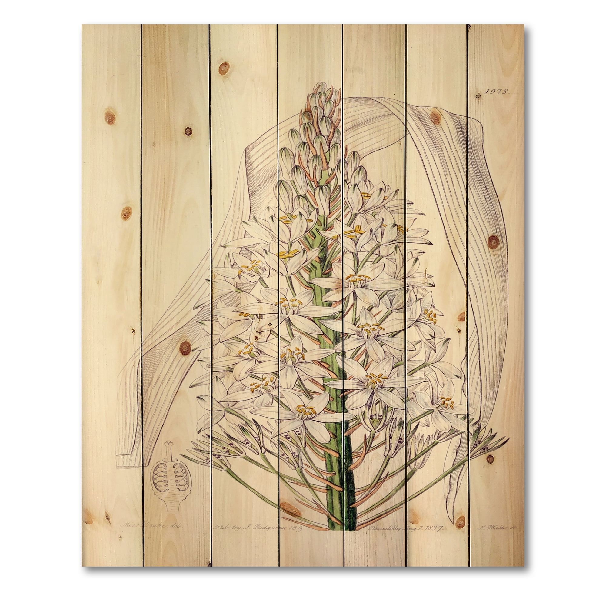 Designart 'White Vintage Orchid I' Traditional Print on Natural Pine Wood