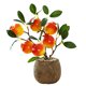 thumbnail image 1 of Bonsái de frutas, flor de simulación, planta verde creativa, decoración del hogar, planta verde en maceta, 1 of 5