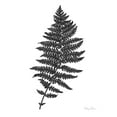 thumbnail image 2 of Wilson, Kelsey 20x24 White Modern Wood Framed Museum Art Print Titled - Neutral Fern black II, 2 of 4
