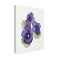 thumbnail image 2 of Trademark Fine Art 'Easter Blessing Flower IX' Canvas Art by Kathleen Parr McKenna, 2 of 4