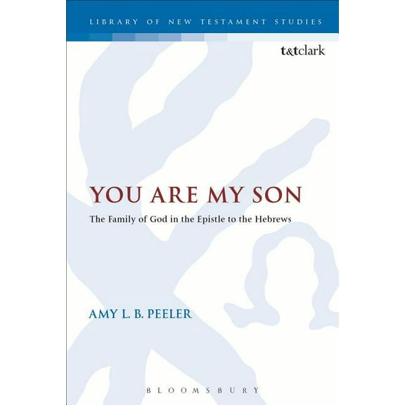 Library of New Testament Studies You Are My Son: The Family of God in the Epistle to the Hebrews, (Paperback)