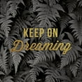 thumbnail image 2 of Delimont, Danita 12x12 Black Ornate Wood Framed with Double Matting Museum Art Print Titled - Keep on Dreaming, 2 of 4