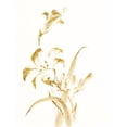 thumbnail image 2 of Gango Home Decor Contemporary Sumi Daylily II & IV Gold by Chris Paschke (Ready to Hang); Two 11x14in White Framed Prints, 2 of 5