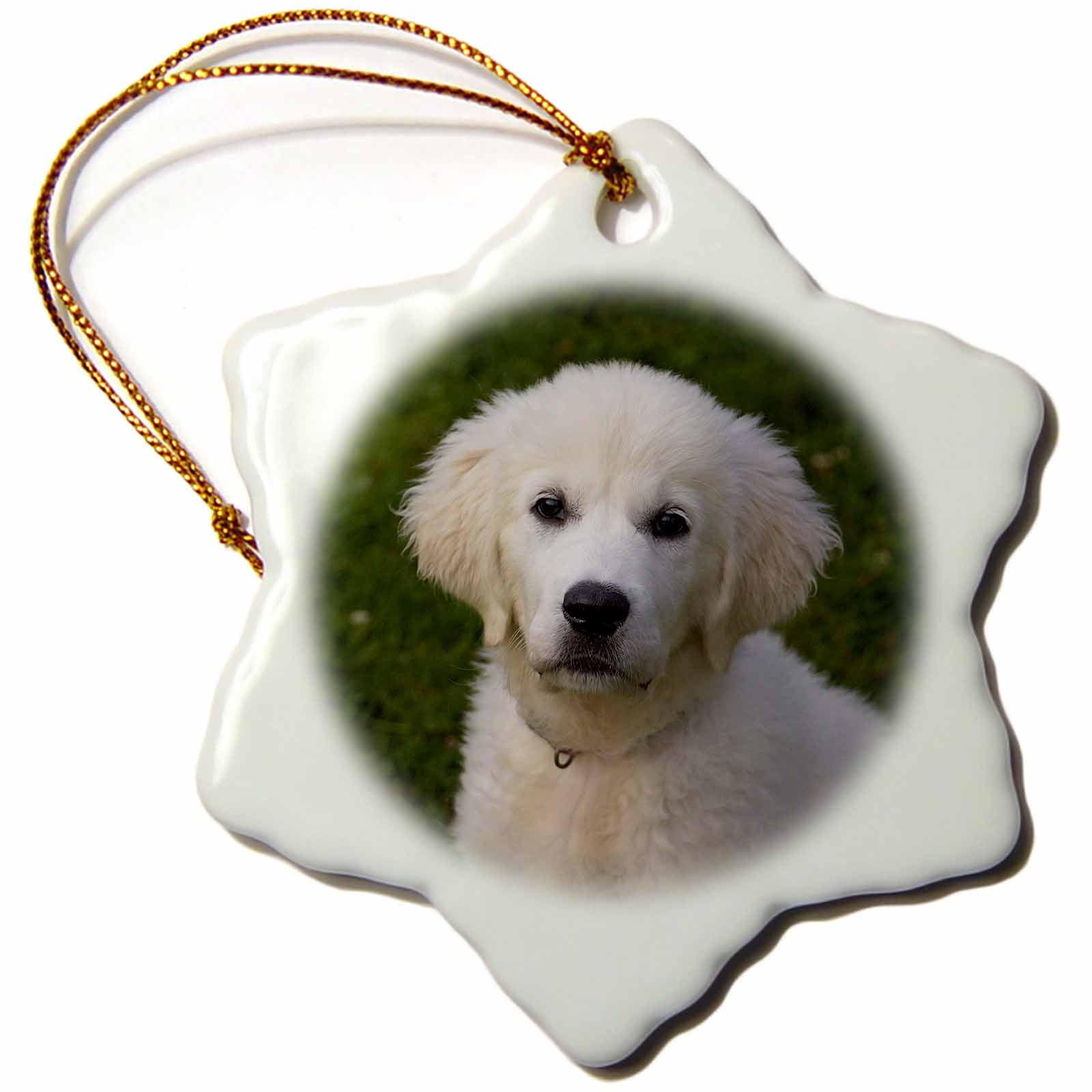 3dRose White cute puppy – Golden Retriever, Snowflake Ornament ...