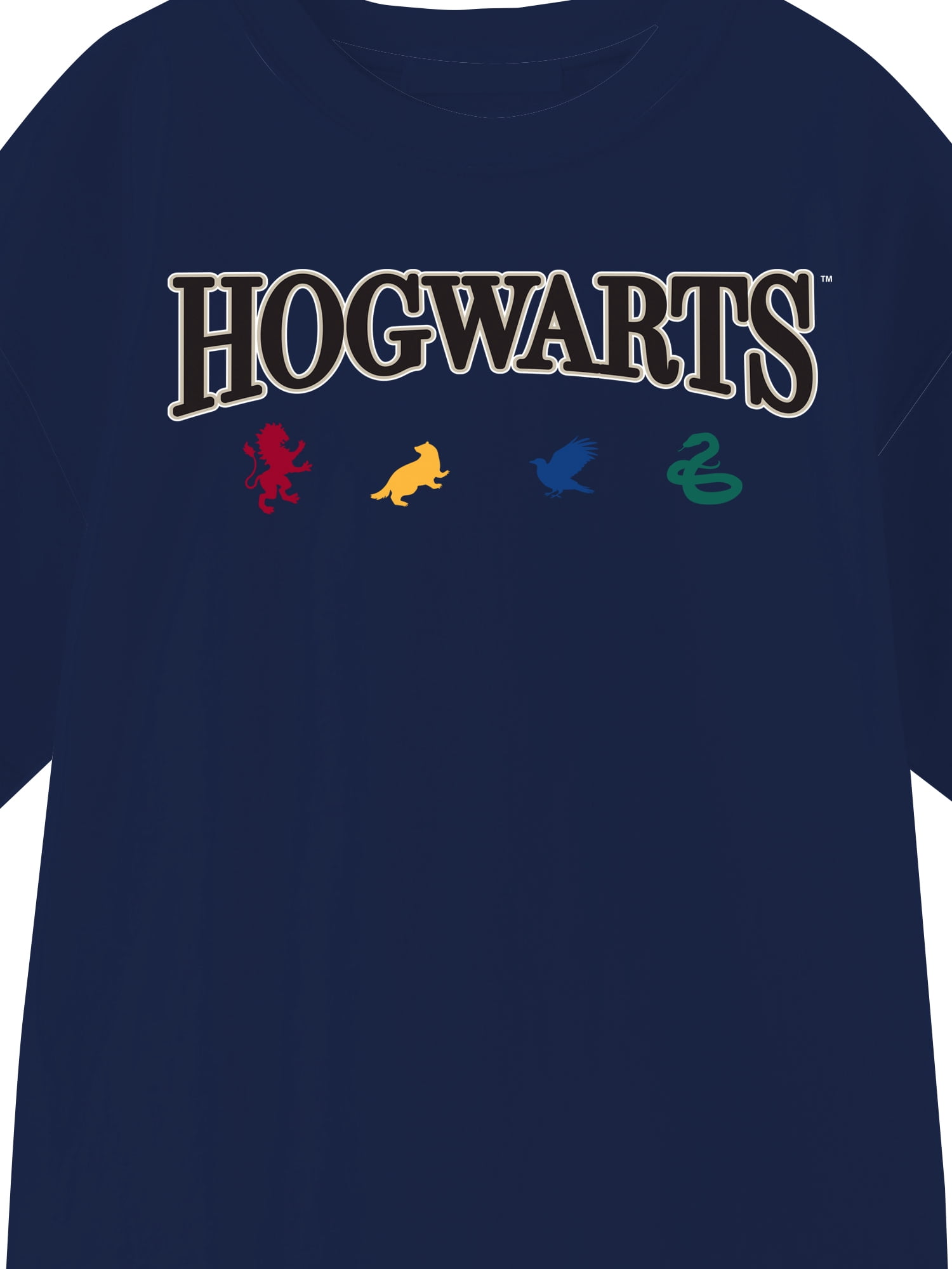 Harry Potter, Boys' & Big Boys' Graphic Short Sleeve Tee, Hogwarts Mascots, Sizes 4-18