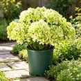 thumbnail image 3 of Hydrangea Artificial Flower for Outdoor, 4 Bundles Fake Hydrangea Bush Plant UV Resistant for Outdoors Front Porch Indoor Home Garden Decor, Green, 3 of 7