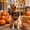 C, variant on Cififendec Halloween Pet Triangle Bandana, 23.62"×15.74", Printed Festival Neckerchief with Halloween Element Pattern for Pets Party Photo Dress‑Up