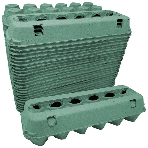 Vented Paper Pulp Egg Cartons - Teal (24-Pack)