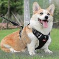 thumbnail image 2 of Duomm Ht-524 Breathable Pet Dog Harness Safety Vest With St - Yellow, 2 of 5