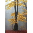 thumbnail image 2 of Hafezi, Shahram 13x18 White Modern Wood Framed Museum Art Print Titled - Loving trees, 2 of 4