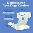 Simple Solution Disposable Dog Diapers for Female Dogs, True Fit