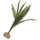 thumbnail image 3 of Plantas artificiales de helecho de Boston para paisajismo, ideal para decorar acuarios y reptiles., 3 of 14