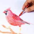 thumbnail image 4 of Lápices de colores lavables Cra-Z-Art, 24 unidades, 6 paquetes, paquete a granel, 4 of 4