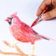 thumbnail image 4 of Lápices de colores lavables Cra-Z-Art, 24 unidades, 6 paquetes, paquete a granel, 4 of 4