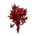 thumbnail image 3 of Ramo de flores secas Arreglos florales secos Decoración del hogar Ramo de tallos de plantas Rojo, 3 of 9