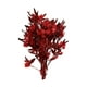 thumbnail image 3 of Ramo de flores secas Arreglos florales secos Decoración del hogar Ramo de tallos de plantas Rojo, 3 of 9