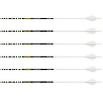Gold Tip Ted Nugent Arrows White 300 Raptor Vanes 6 Pk.