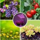thumbnail image 2 of Lámpara de plantas, lámpara de crecimiento de plantas Lámpara LED de horticultura perfecta para plantas de interior 40 W (4 cabezas) + herramientas pequeñas TUNC Sencillez, 2 of 5