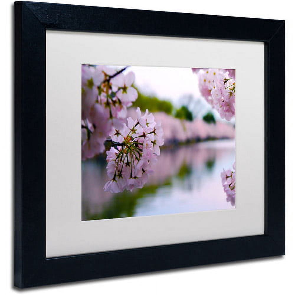 Trademark Fine Art "Cherry Blossoms 2014-2" Canvas Art by CATeyes, White Matte, Black Frame