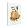 thumbnail image 4 of Trademark Fine Art 'Pumpkin and Vines II' Canvas Art by Kathleen Parr McKenna, 4 of 4