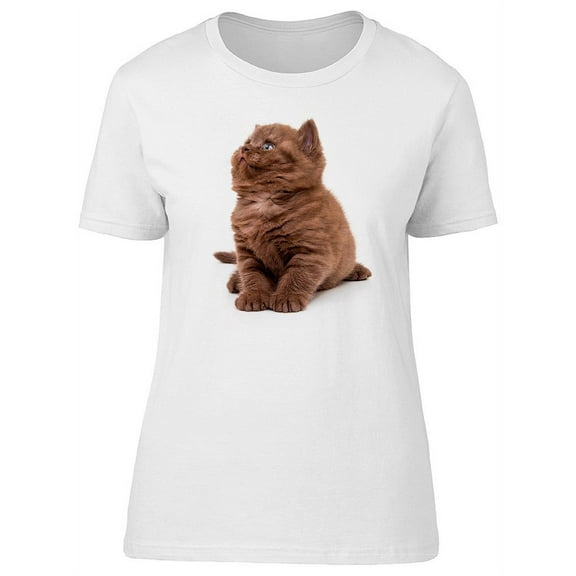 Cute Brown Furry Baby Kitten T-Shirt Women -Image by Shutterstock, Female x-Large
