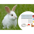 thumbnail image 3 of Bgsha Rabbit waterer with double spring spout: suitable for rabbit breeding, 3 of 7