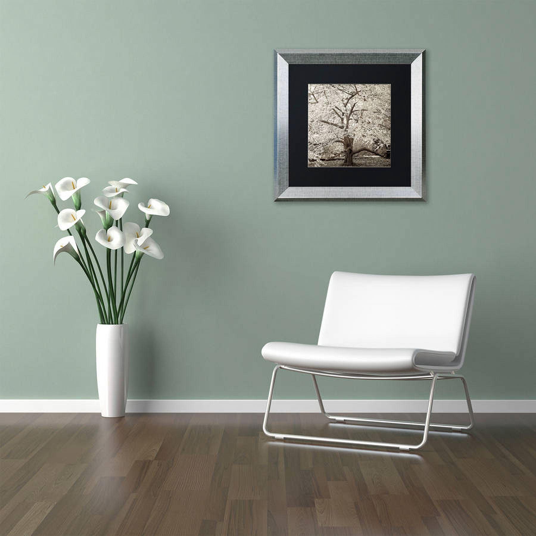 Trademark Fine Art "Hampton Magnolia II" Canvas Art by Alan Blaustein, Black Matte, Silver Frame