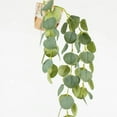 thumbnail image 6 of Balsa Circle 3 Green 41" Silk Eucalyptus Leaves Hanging Artificial Plant Stems Party Events Decorations, 6 of 7