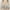 Green, variant on Tumotour Front Open Bras For Women Full Coverage Wirefree Bra Button Closeure Bra For Mom Gift Nursing Underwear Bra Non-Steel Ring Gathering Together Breathable Women Daily Bras