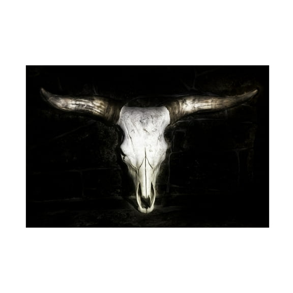 Trademark Fine Art PHBurchett Cow Skull Canvas Wall Art - 12x19
