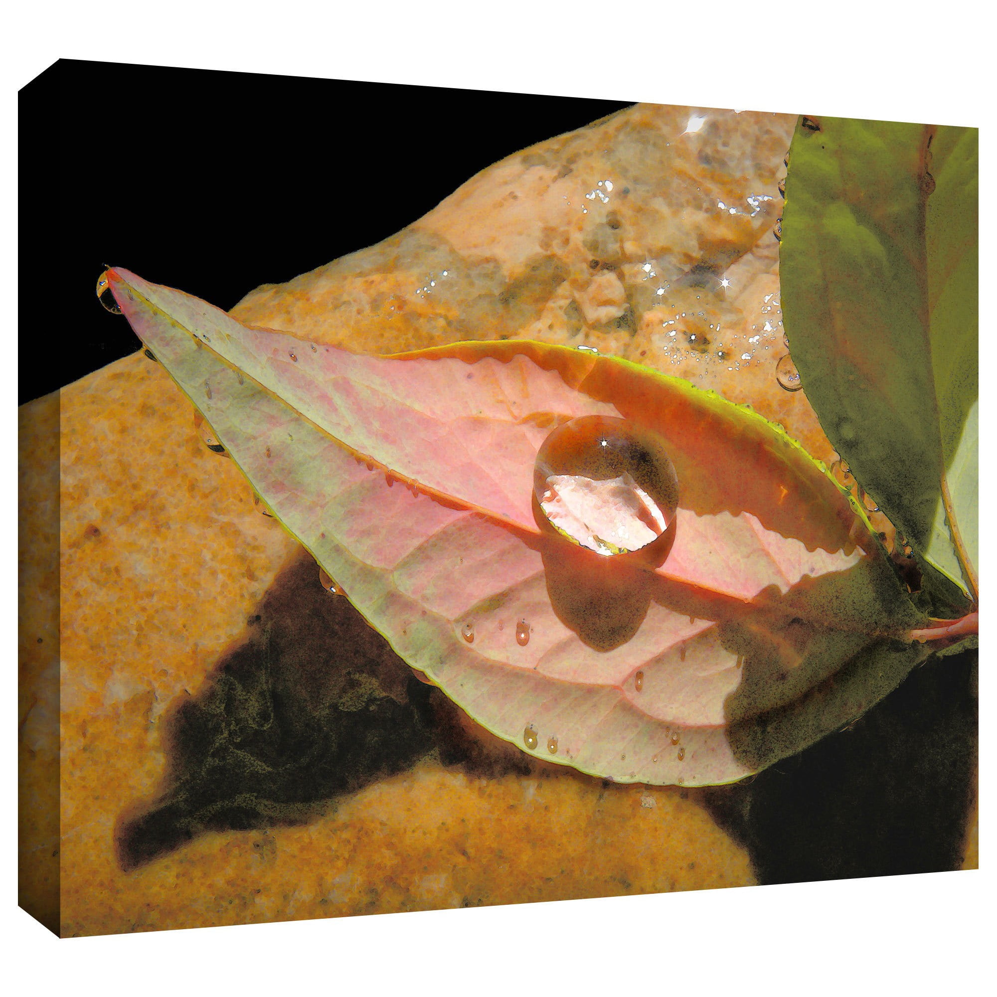 Dean Uhlinger "Natural World" Gallery-Wrapped Canvas