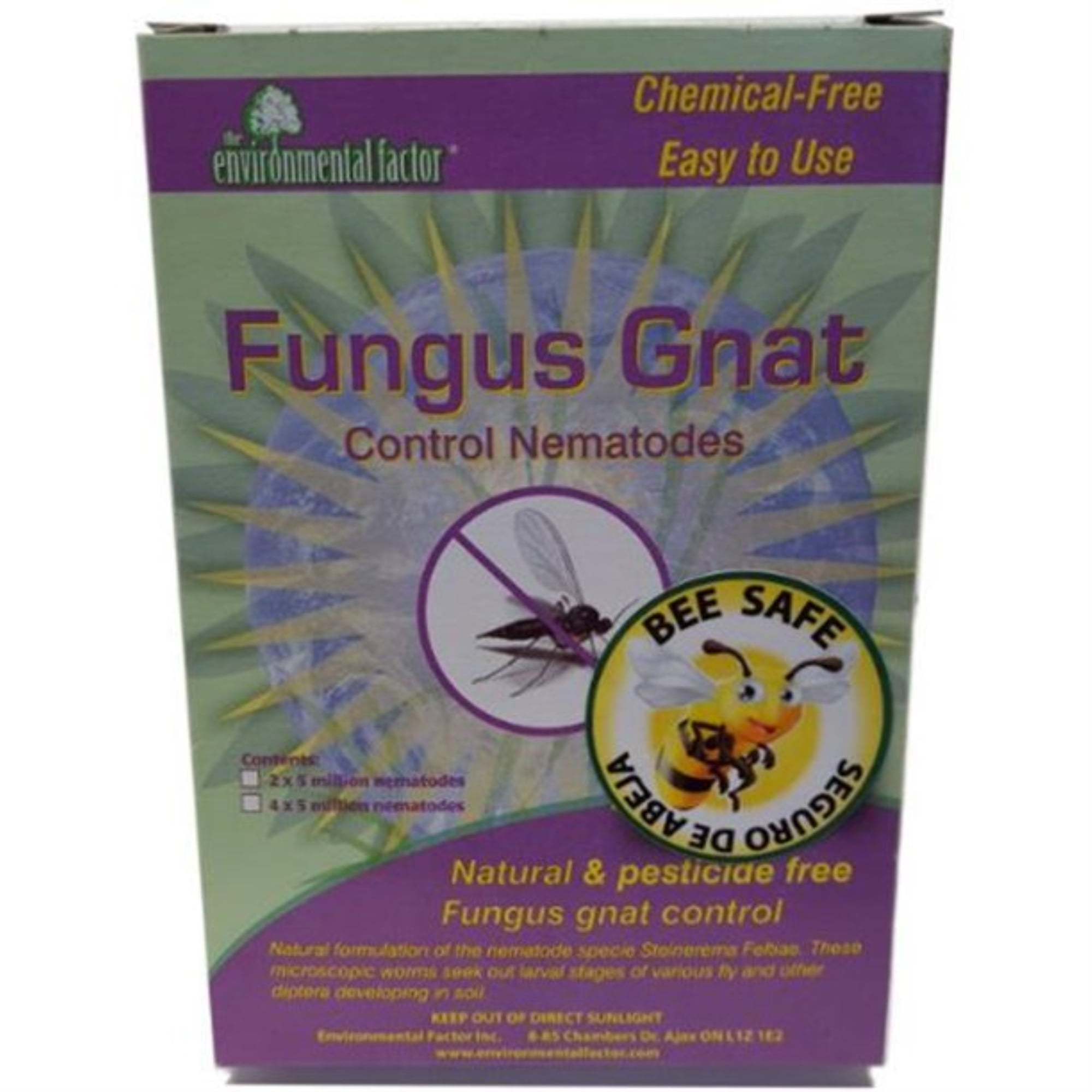 Nema Globe Fungus Gnat Nematodes, 4 x 5 Million Nematodes