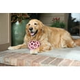 thumbnail image 3 of JW HOL-ee Roller™ Tug and Fetch Treat Dispenser Puzzle Ball Dog Toy, Natural Rubber, Large 5.5" for Dogs 60+ lb, Pink, Pack of 1, 3 of 8