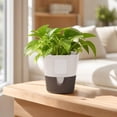 thumbnail image 2 of Leodye 1PCS Water Absorbent Root Control Plant Pot Detachable Plastic Planter Simple Design Cultivation Container for Pothos Indoor Green Plant Growing -4.92x4.92in, 2 of 7
