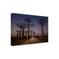 thumbnail image 2 of Marco Tagliarino 'Allace Des Baobabs' Canvas Art, 2 of 3