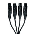 thumbnail image 3 of Herramientas de sonido Breakout Snake CAT Tails FX hembra XLR 4 líneas, 3 of 4