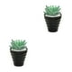 thumbnail image 3 of Bonsái Artificial Ounissouiy para exteriores suculentas en miniatura de PVC 2piezas Tipo3, 3 of 6