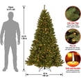 thumbnail image 3 of Árbol de Navidad, National Tree Company, North Valley Spruce, 6 pies, 3 of 5