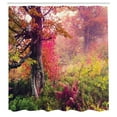 thumbnail image 3 of Ambesonne Forest Shower Curtain, Majestic Autumn Trees, 69"Wx70"L, Red Green Brown, 3 of 5