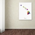 thumbnail image 4 of Trademark Fine Art "Hawaii Map" Canvas Art by Michael Tompsett, 4 of 4