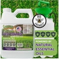 thumbnail image 2 of OURDOOR PEST CONTROL CONCENTRATE, 2 of 8