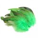 thumbnail image 1 of 5x50 Plumas Para Manualidades, Decoraciones Para Bodas, Fabricación De Joyas, Color Verde, 1 of 8
