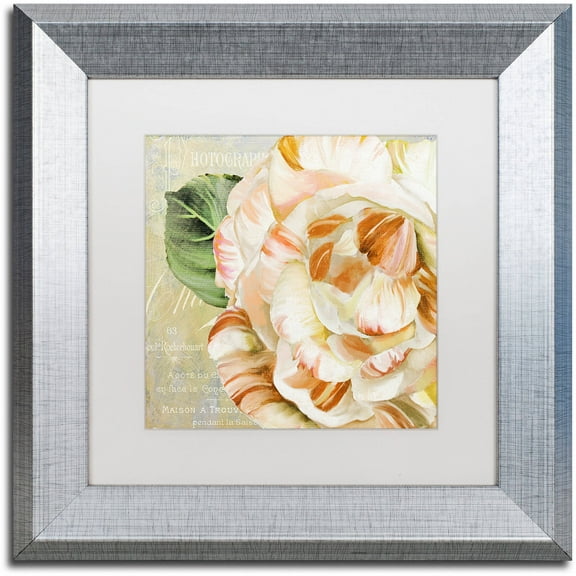 Trademark Fine Art "Camellias I" Canvas Art by Color Bakery White Matte, Silver Frame