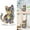 Clear, variant on Xoiie Colorful Cat Figurines Desktop Standing Decoration(Clearance), Acrylic Miniature Cat Decorative, Kitten Miniature Desk Accessories, Perfect Cute Cat Gift for Cat Lovers, Room Decor