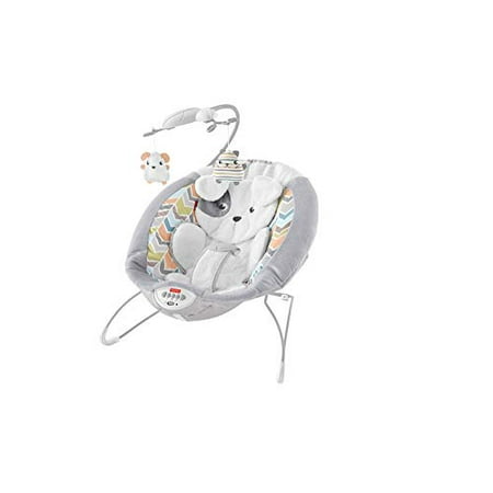 Fisher-Price Sweet Snugapuppy Dreams Deluxe Bouncer White