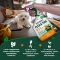 Vet's Best Flea and Tick Home Spray Flea Treatment for Dogs and Home