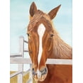 thumbnail image 2 of Fifer, Diane 25x32 Black Ornate Wood Framed with Double Matting Museum Art Print Titled - Greg, 2 of 4