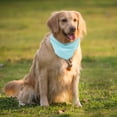 thumbnail image 4 of WEUVEB Collar Enfriador Para Mascotas Con Tela Absorbente De Calor Y Cómodo, 4 of 7