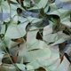 thumbnail image 2 of Filet de camouflage extérieur 1 m x 2 m pour forêt, chasse, camping, jungle, 2 of 4