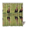 thumbnail image 1 of ABPHQTO Cortina de ducha de baño de poliéster impermeable pato 150x180 cm, 1 of 2